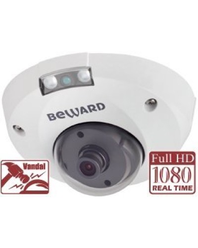 NK55630D8. IP-камера купольная. Beward в Барнауле
