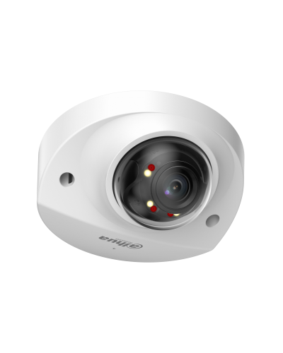 DH-IPC-HDBW2249FP-AS-IL-0360B. Профессиональная видеокамера IP купольная. Dahua в Барнауле