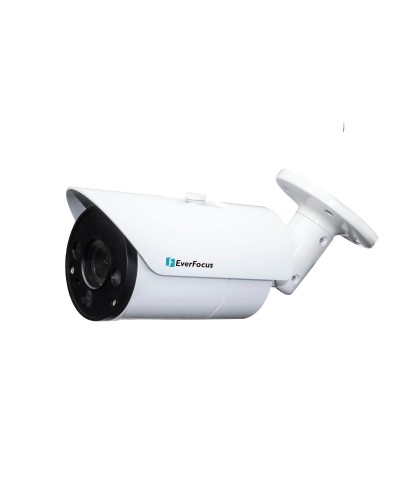 EZN-268V. Видеокамера IP купольная. EverFocus в Барнауле
