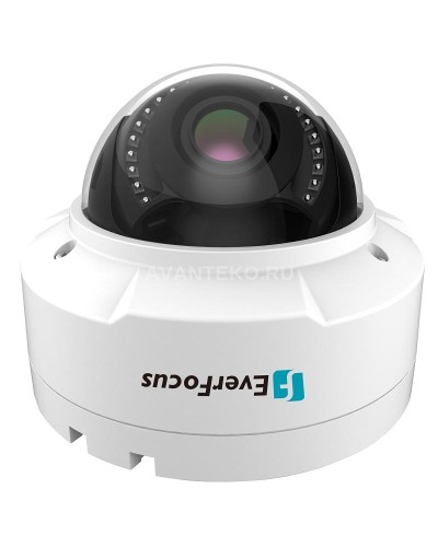 EHN-1250. Видеокамера IP купольная. EverFocus в Барнауле