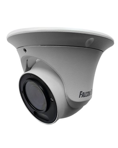 FE-IPC-DV2-40pa. Видеокамера IP купольная. Falcon EYE в Барнауле
