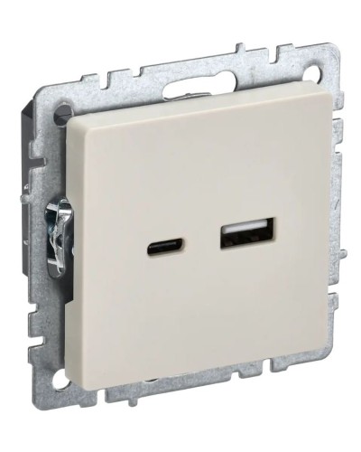 Розетка USB A+C 18Вт РЮ11-1-БрКр бежевый BRITE (BR-U22-018-K10). Розетка USB. IEK в Барнауле