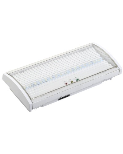 Светильник аварийный ДПА 5040-3 3ч IP54 LIGHTING (LDPA0-5040-3H-K01). Светильник аварийный постоянного действия. IEK в Барнауле