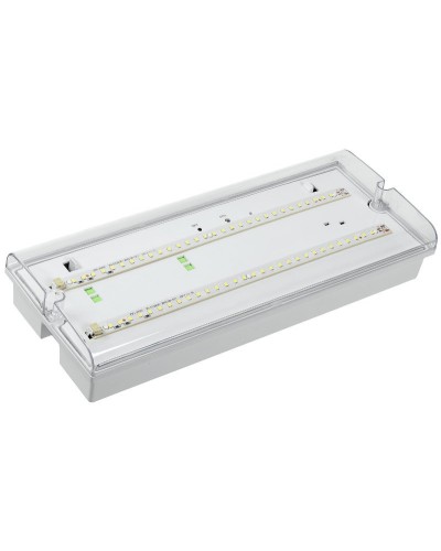 Светильник аварийный ДПА 5042-3 3ч IP65 LIGHTING (LDPA0-5042-3-65-K01). Светильник аварийный универсальный. IEK в Барнауле