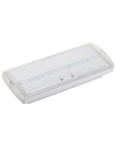 Светильник аварийный ДПА 5030-3 3ч IP20 LIGHTING (LDPA0-5030-3H-K01). Светильник аварийный постоянного действия. IEK в Барнауле