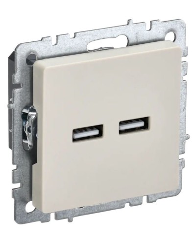 Розетка USB A+A 3,1А РЮ10-1-БрКр бежевый BRITE (BR-U21-D31-K10). Розетка USB. IEK в Барнауле