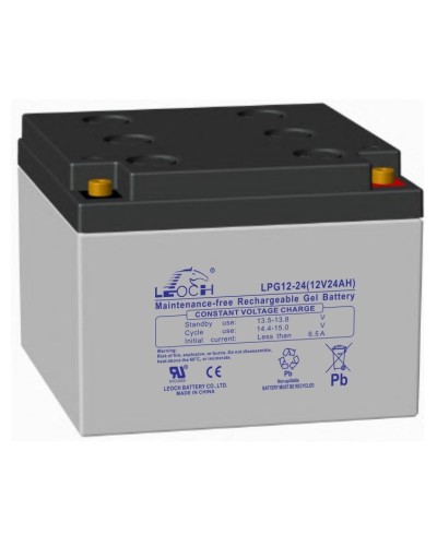 LEOCH LPG 12-24. Аккумулятор герметичный свинцово-кислотный. LEOCH в Барнауле