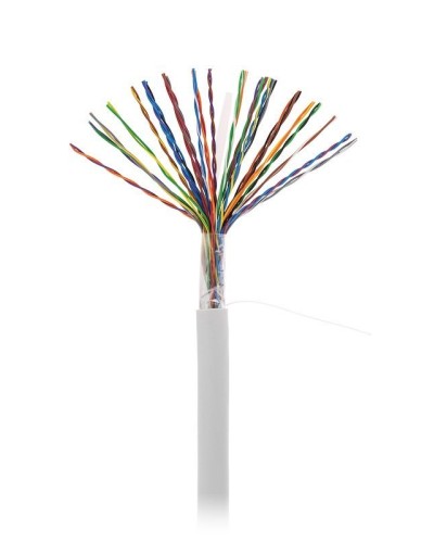 U/UTP 25pair, Cat5, In, PVC (EC-UU025-5-PVC-GY-3). Кабель «витая пара» (LAN) для структурированных систем связи. NETLAN в Барнауле