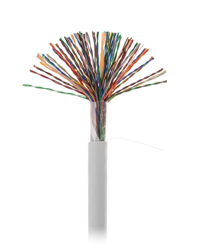 U/UTP 50pair, Cat5, In, PVC (EC-UU050-5-PVC-GY-3). Кабель «витая пара» (LAN) для структурированных систем связи. NETLAN в Барнауле