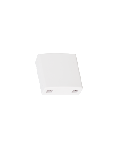 NMF-WO2-BLANK-CS-WT. Корпус настенной розетки. NIKOMAX в Барнауле