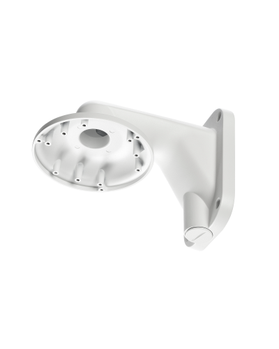 RVi-1BWM-5 white. Кронштейн настенный. RVi в Барнауле