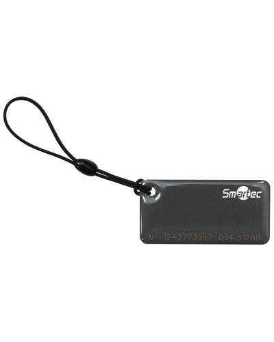ST-PT015MF-GR. Брелок. Smartec в Барнауле