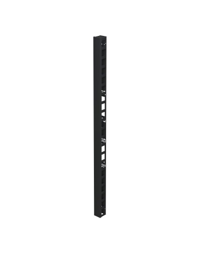 Организатор вертикальный с крышкой 47U, 90мм, для IT-CQE черный (R5VRPC4790B). Организатор вертикальный с крышкой. ДКС в Барнауле