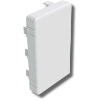 Заглушка 100х80 LAN (00875). Заглушка для короба. ДКС