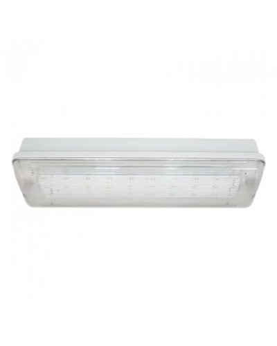 SL-223-30LED1.8 исп. 1, IP65. Светильник аварийного освещения. ИП Раченков А.В. в Барнауле
