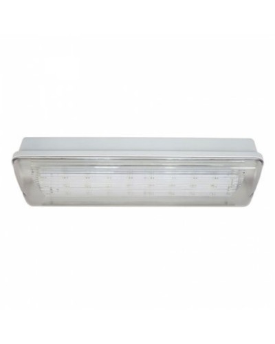 SL-213-30LED1.8 исп.1 IP54. Светильник аварийного освещения. ИП Раченков А.В. в Барнауле