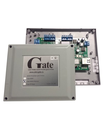 Gate-8000 Ethernet. Сетевой контроллер. Равелин в Барнауле