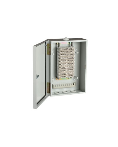 ШРН-В/100-Р (120908-00122). Шкаф ШРН-В/100-Р, плинт ПВТ-10Р-5е. ССД (Связьстройдеталь) в Барнауле