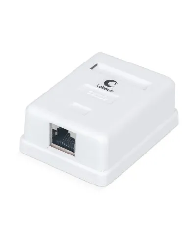 WS-8P8C-Cat.5e-SH-1 (7485c): Розетка RJ-45 в Барнауле