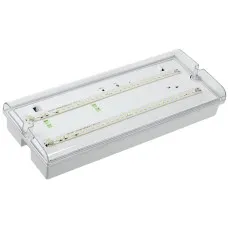 Светильник аварийный ДПА 5042-1 1ч IP65 LIGHTING (LDPA0-5042-1-65-K01). Светильник аварийный универсальный. IEK