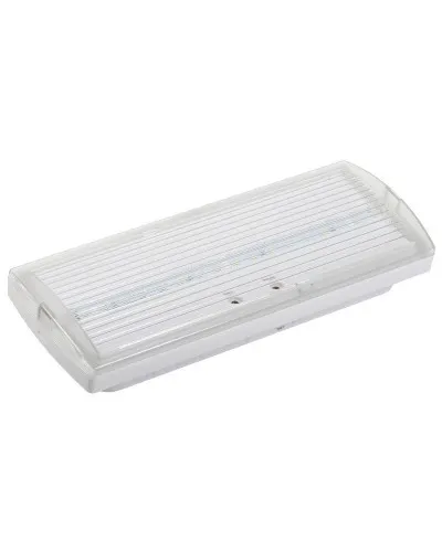 Светильник аварийный ДПА 5030-1 1ч IP20 LIGHTING (LDPA0-5030-1H-K01). Светильник аварийный постоянного действия. IEK в Барнауле
