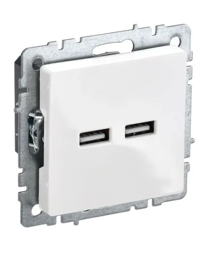 Розетка USB A+A 3,1А РЮ10-1-БрБ белый BRITE (BR-U21-D31-K01). Розетка USB. IEK в Барнауле