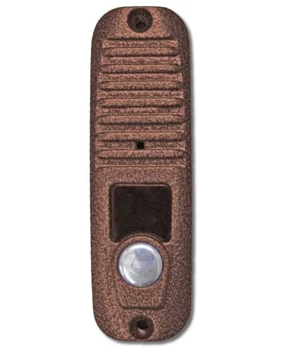 JSB-V055 PAL (медь) накладная. Видеопанель вызывная цветная. JSB-Systems в Барнауле