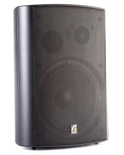 MS-80TB (ROXTON). Звуковая настенная колонка. ROXTON в Барнауле