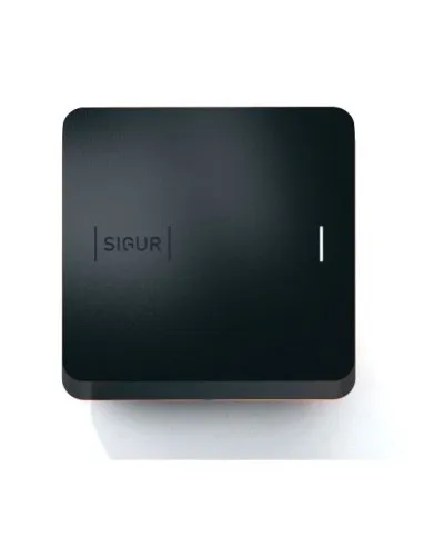 Sigur MR100 Multi. Считыватель. SIGUR в Барнауле