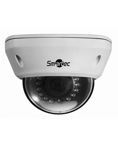 STC-IPM5591/1. Видеокамера IP купольная. Smartec в Барнауле