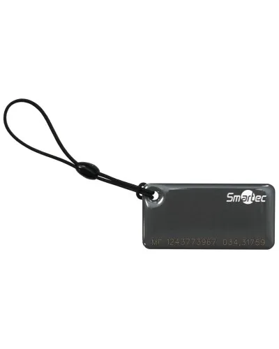 ST-PT015MF-GR. Брелок. Smartec в Барнауле