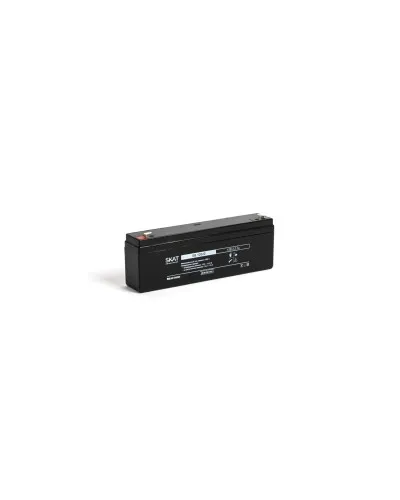 SKAT SB 12022 (2539). Аккумулятор герметичный свинцово-кислотный. Бастион в Барнауле