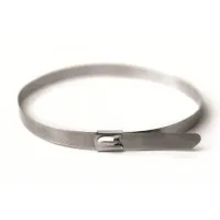 Хомут из нержавеющей стали AISI 316 8х600 (20 шт) (27616): Хомут из нержавеющей стали