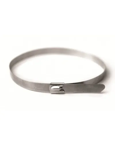 Хомут из нержавеющей стали AISI 316 8х600 (20 шт) (27616): Хомут из нержавеющей стали в Барнауле