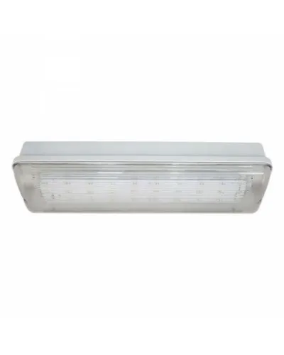 SL-223-30LED1.8 исп.1 IP54. Светильник аварийного освещения. ИП Раченков А.В. в Барнауле