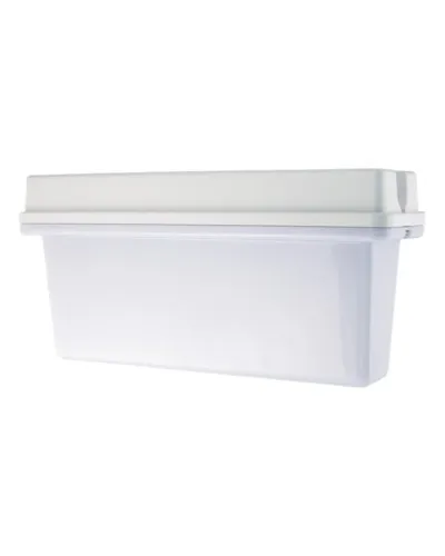 SL-213-30LED1.8 исп.2 IP65. Светильник аварийного освещения. ИП Раченков А.В. в Барнауле