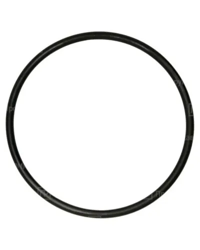 Кольцо резиновое уплотнительное для двустенной трубы D110 (PR08.3159). Кольцо резиновое уплотнительное для двустенной трубы. Промрукав в Барнауле