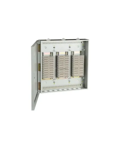 ШРН-В/300-Р 300 (120908-00105). Шкаф ШРН-В/300-Р 300 пар, плинты ПВТ-10Р-5е. ССД (Связьстройдеталь) в Барнауле